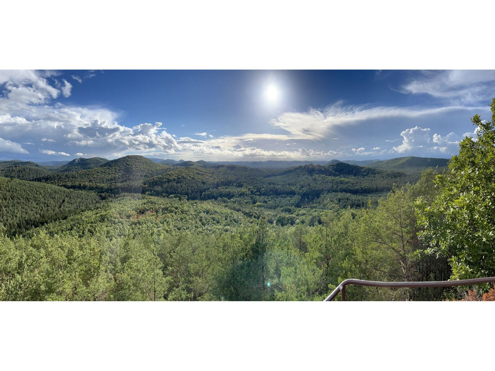 Pf&auml;lzer Wald