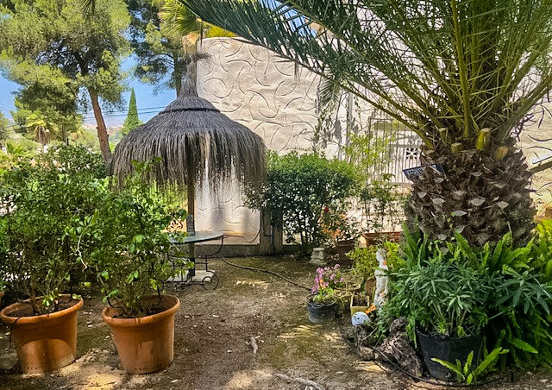 Casa Verde Foto 10