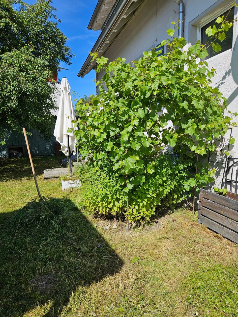 Ferienwohnung am Tennisplatz Unteruhldingen Foto 4