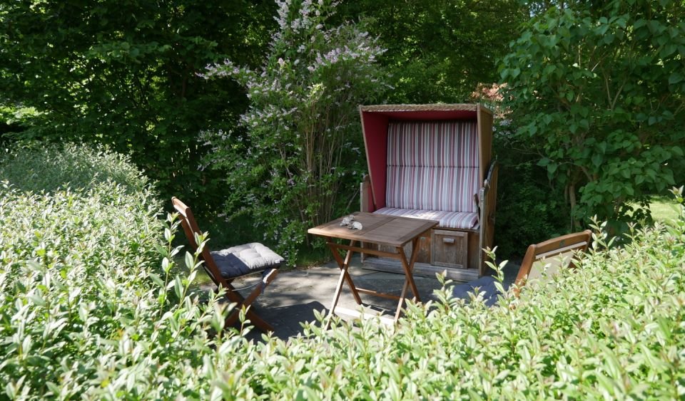 Apart Zwergmöwe Foto 11