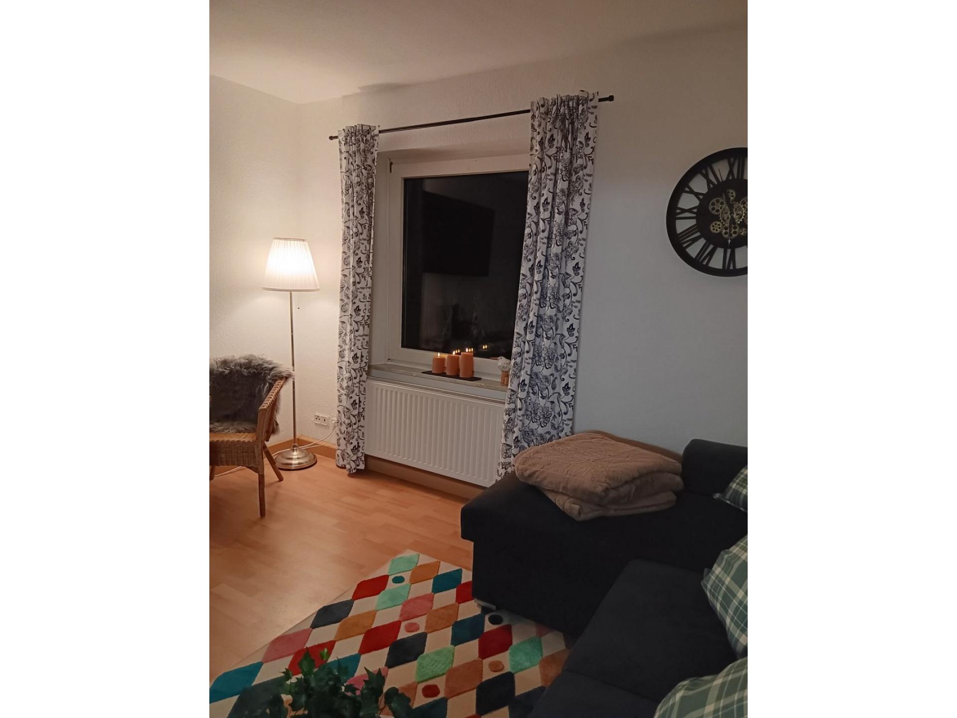 Apart Zwergmöwe Foto 3