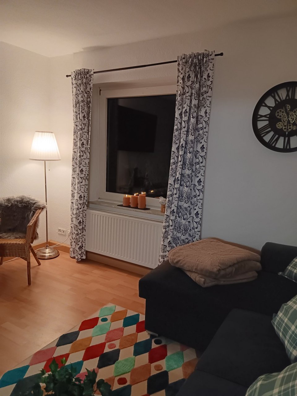 Apart Zwergmöwe Foto 3
