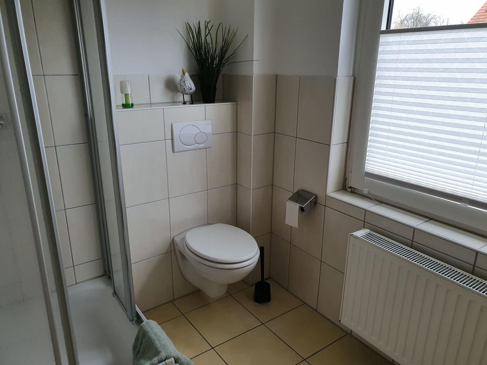 Apart Zwergmöwe Foto 9