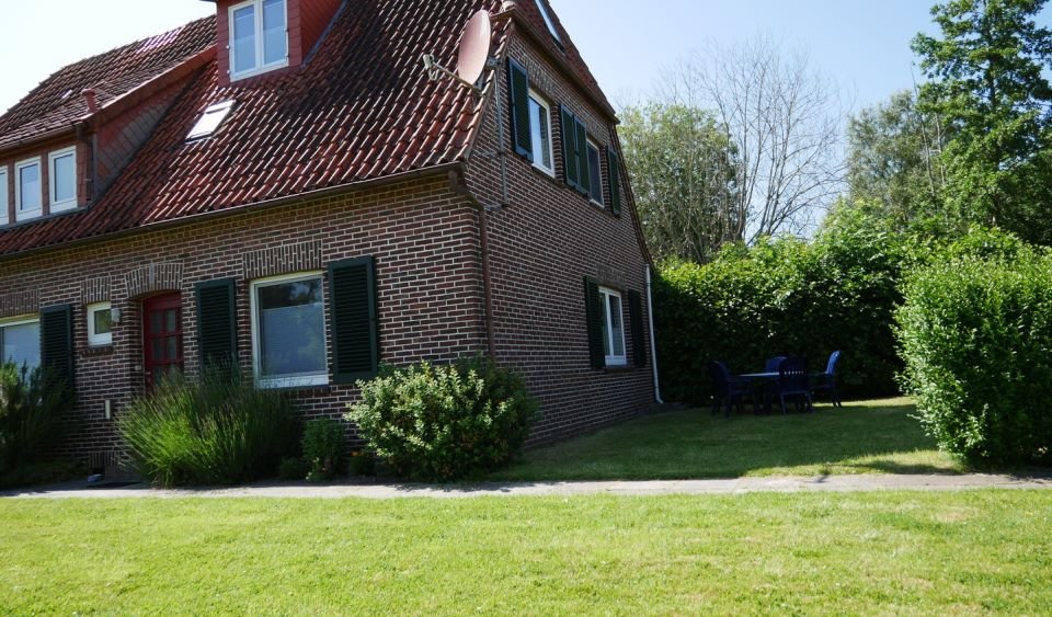 Apart Lachmöwe Foto 10