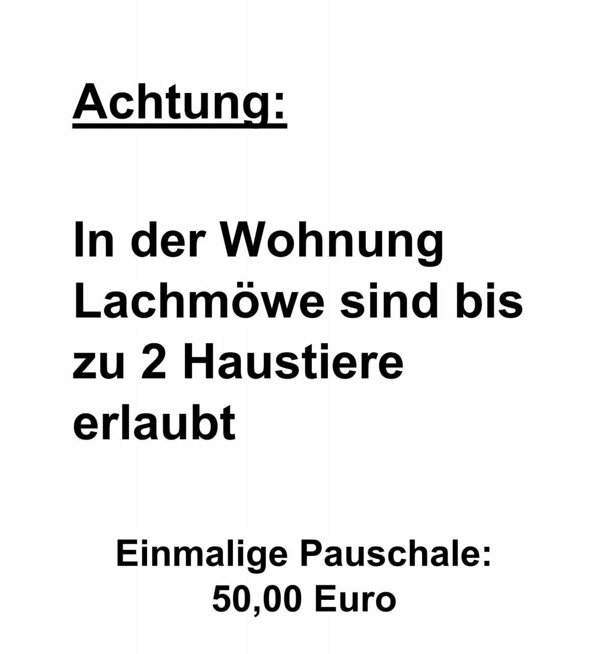 Apart Lachmöwe Foto 30
