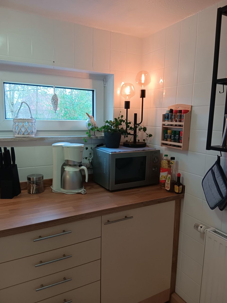 Apart Lachmöwe Foto 4