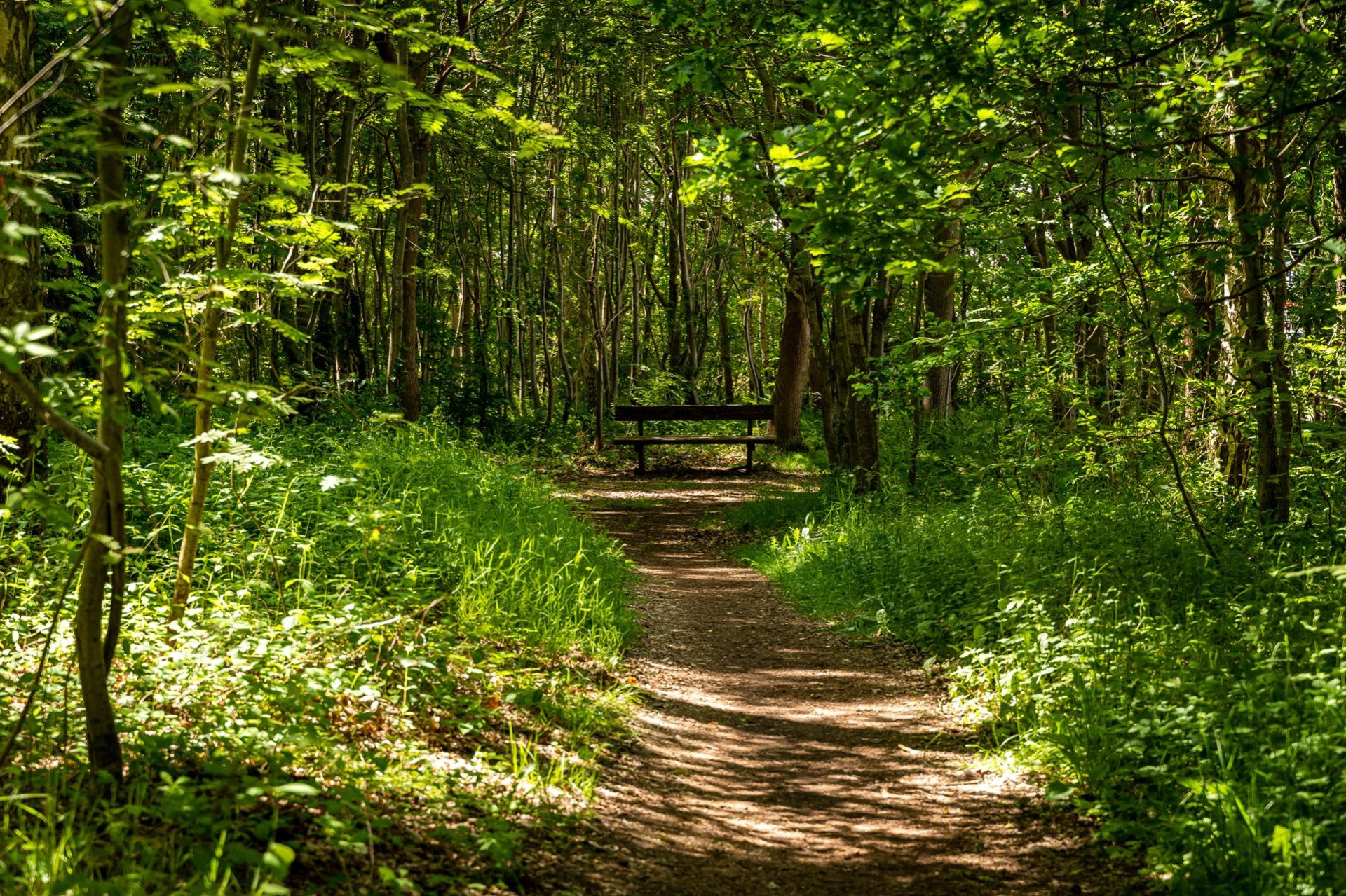 FeWo "Glück" - Strandhaus Düne 19 Foto 19