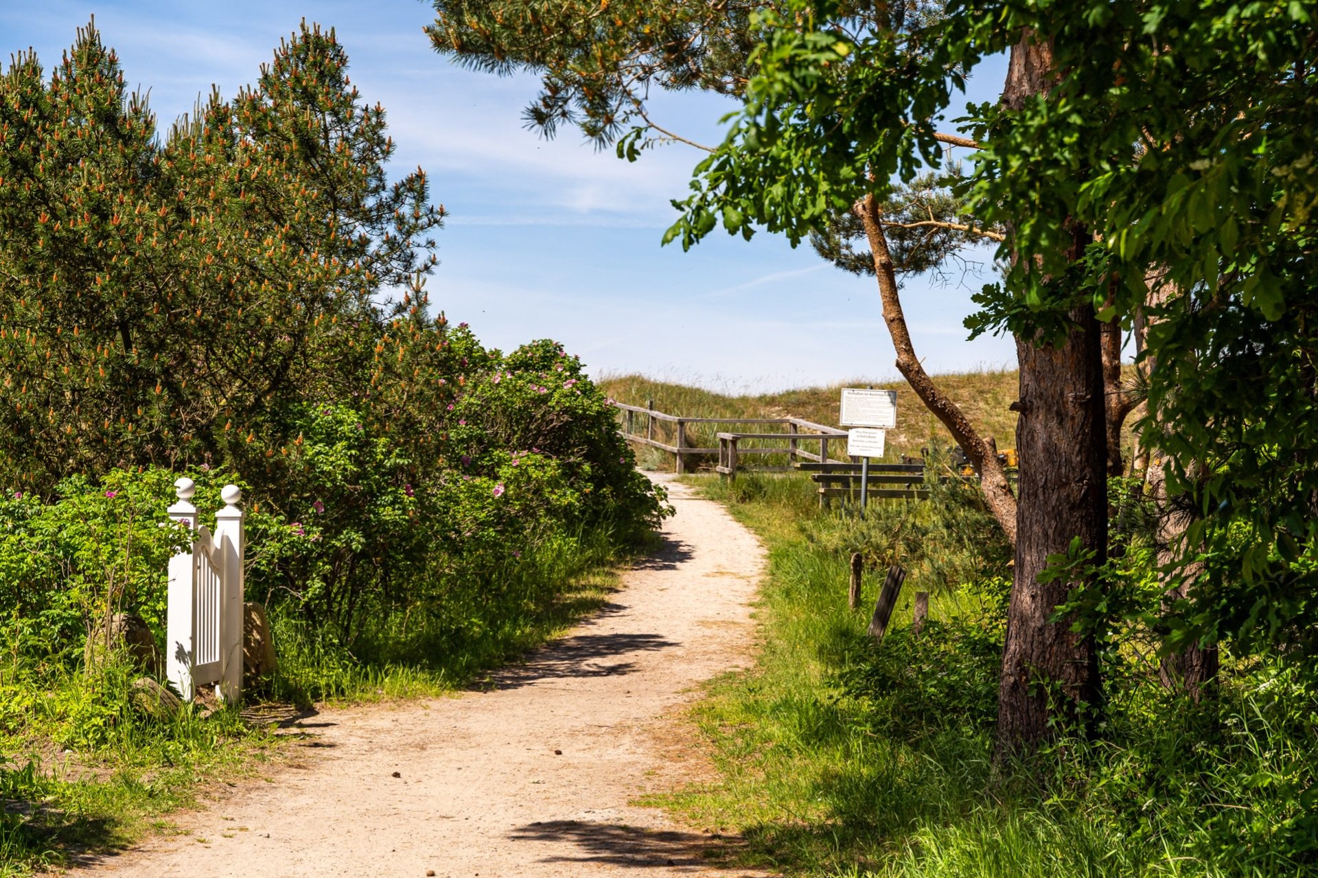 FeWo "Glück" - Strandhaus Düne 19 Foto 20