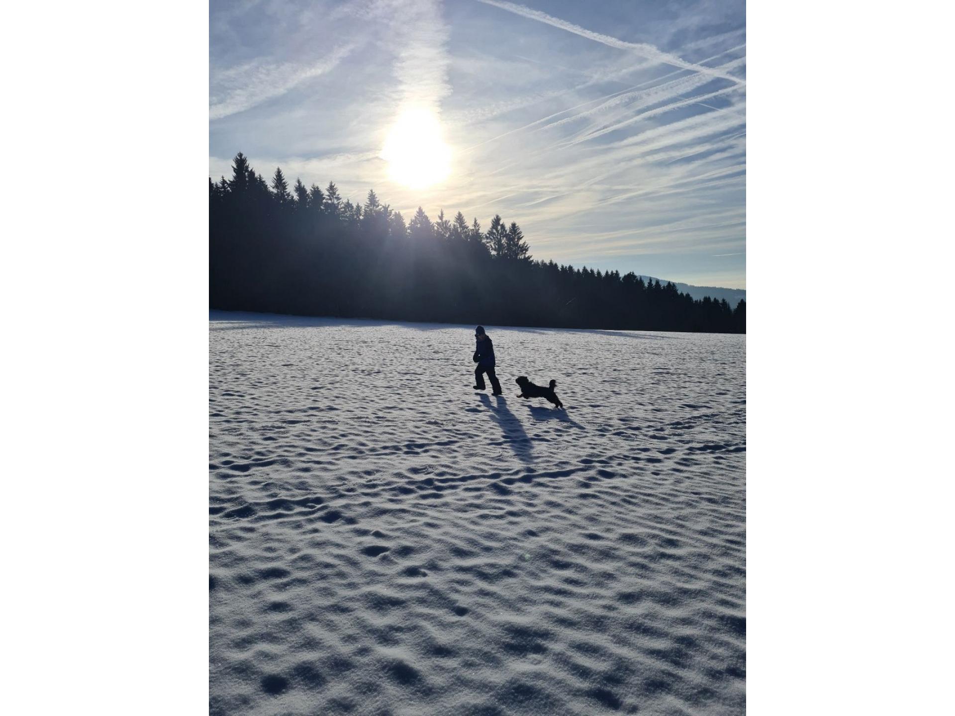 Natur Sankt Englmar
