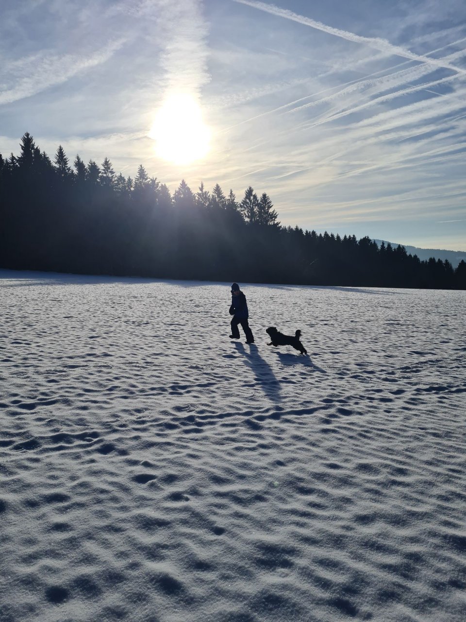 Natur Sankt Englmar