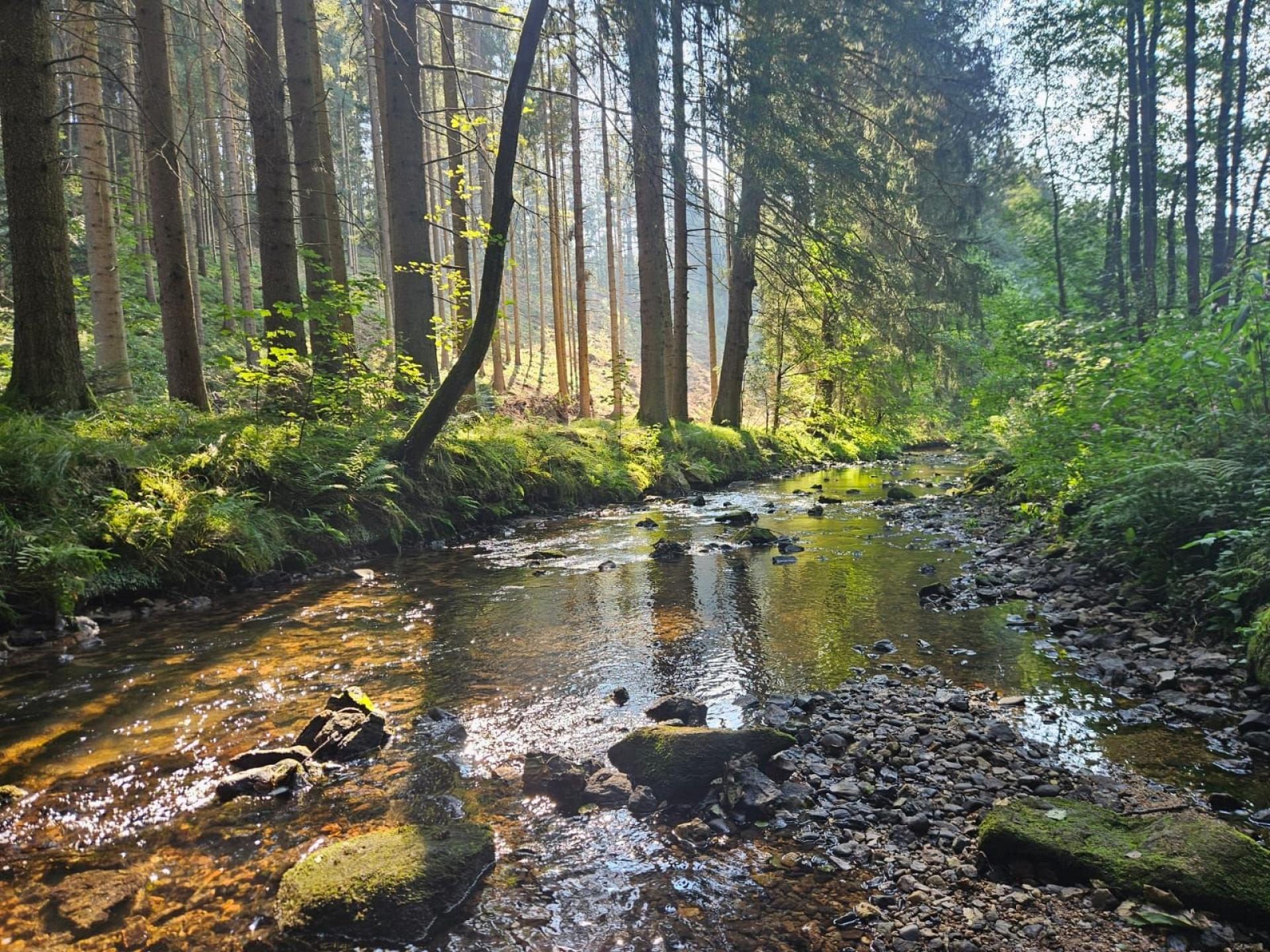 Natur Umgebung