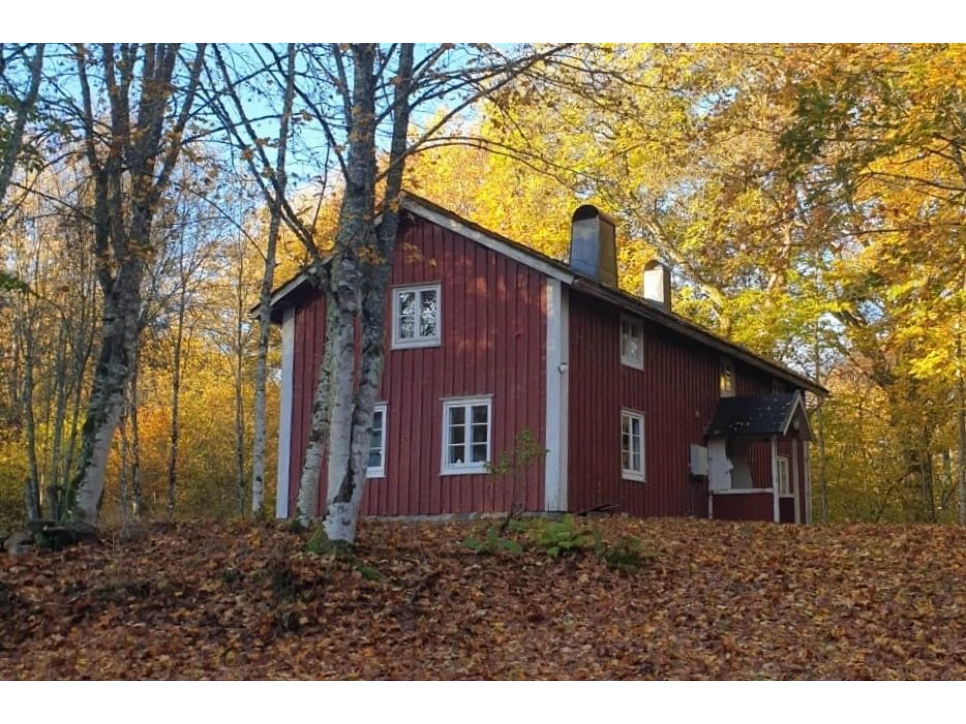Holzhaus