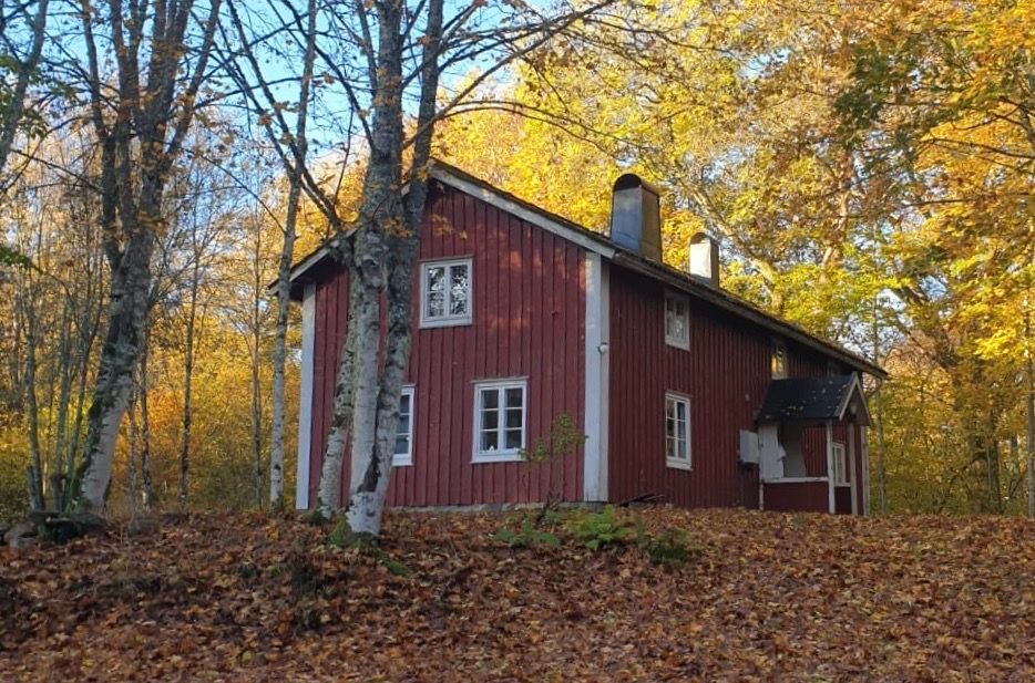 Holzhaus