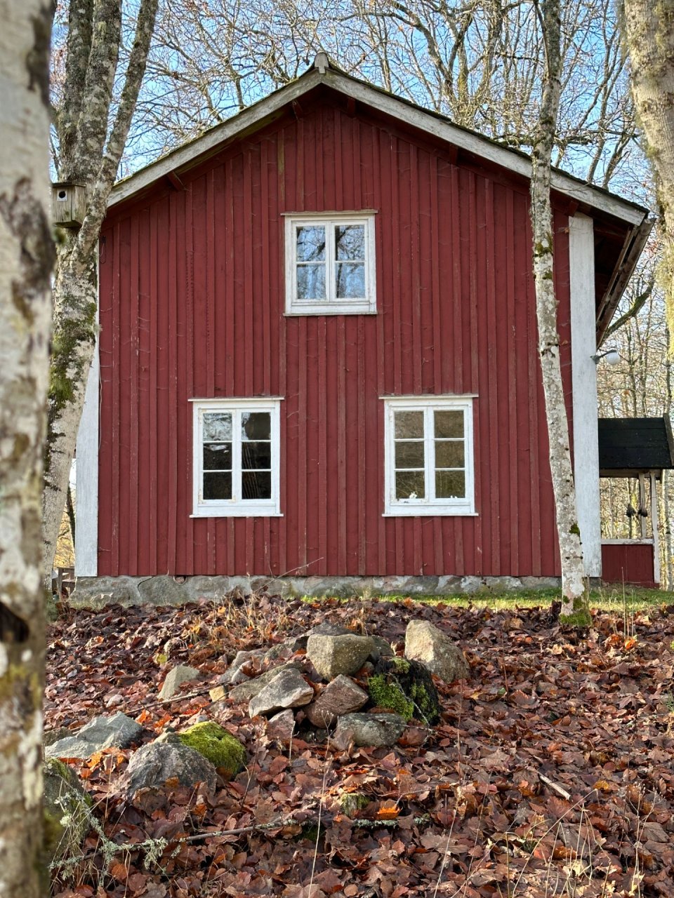 Holzhaus Foto 2