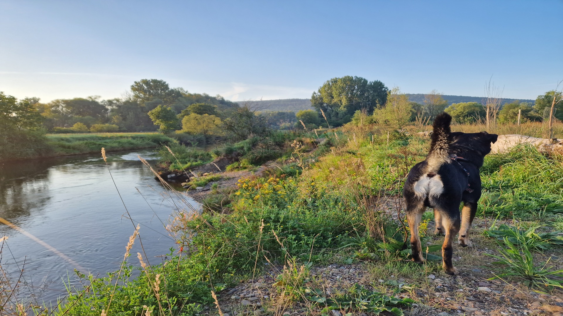 ferien-im-fachwerkhaus - Header