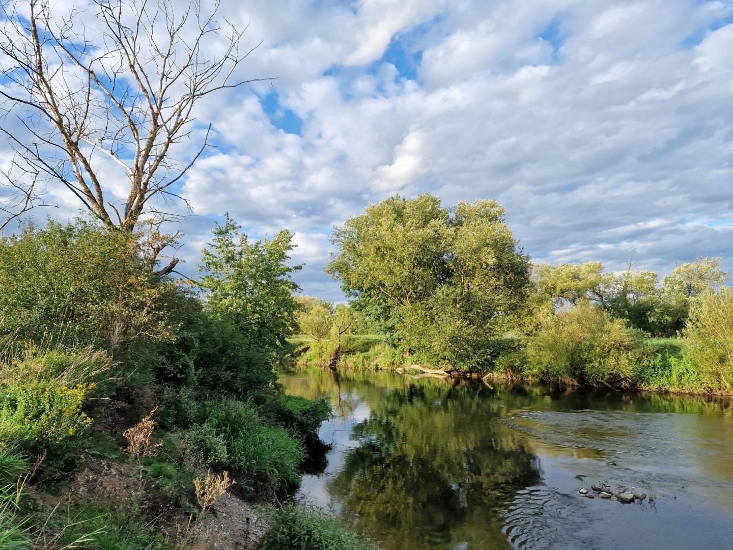 ferien-im-fachwerkhaus - Header